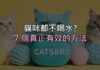 貓咪都不喝水?別再只換水了,這 7 個方法才真的有效 貓咪都不喝水?別再只換水了,這 7 個方法才真的有效