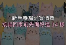 新手養貓必買清單:接貓回家前,這 14 樣先準備好就不會手忙腳亂 新手養貓必買清單:接貓回家前,這 14 樣先準備好就不會手忙腳亂