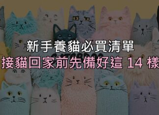 新手養貓必買清單:接貓回家前,這 14 樣先準備好就不會手忙腳亂 新手養貓必買清單:接貓回家前,這 14 樣先準備好就不會手忙腳亂
