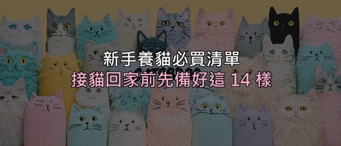 新手養貓必買清單:接貓回家前,這 14 樣先準備好就不會手忙腳亂