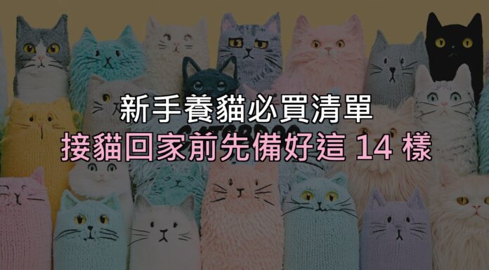 新手養貓必買清單:接貓回家前,這 14 樣先準備好就不會手忙腳亂 新手養貓必買清單:接貓回家前,這 14 樣先準備好就不會手忙腳亂