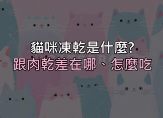 貓咪凍乾到底是什麼?跟一般肉乾差在哪、該怎麼吃才對 貓咪凍乾到底是什麼?跟一般肉乾差在哪、該怎麼吃才對