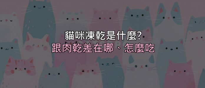 貓咪凍乾到底是什麼?跟一般肉乾差在哪、該怎麼吃才對 封面 貓咪凍乾到底是什麼?跟一般肉乾差在哪、該怎麼吃才對
