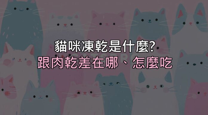 貓咪凍乾到底是什麼?跟一般肉乾差在哪、該怎麼吃才對 貓咪凍乾到底是什麼?跟一般肉乾差在哪、該怎麼吃才對