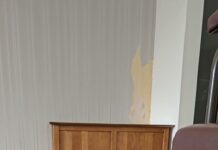 「牠一直叫,你一回應牠就更常叫」這個循環是你自己養出來的 「牠一直叫,你一回應牠就更常叫」這個循環是你自己養出來的