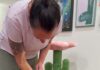 「牠四隻腳撐住門口死都不進去」外出籠不必變成噩夢,問題出在你只有要去醫院才拿出來 「牠四隻腳撐住門口死都不進去」外出籠不必變成噩夢,問題出在你只有要去醫院才拿出來