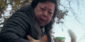 「牠想用那條已經不在的腿抓癢」三腳貓的第二次機會,以及牠們適應得有多快 「牠想用那條已經不在的腿抓癢」三腳貓的第二次機會,以及牠們適應得有多快
